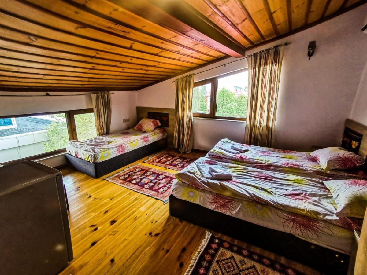 Hotel Alikante Sarnitsa Bagian luar foto