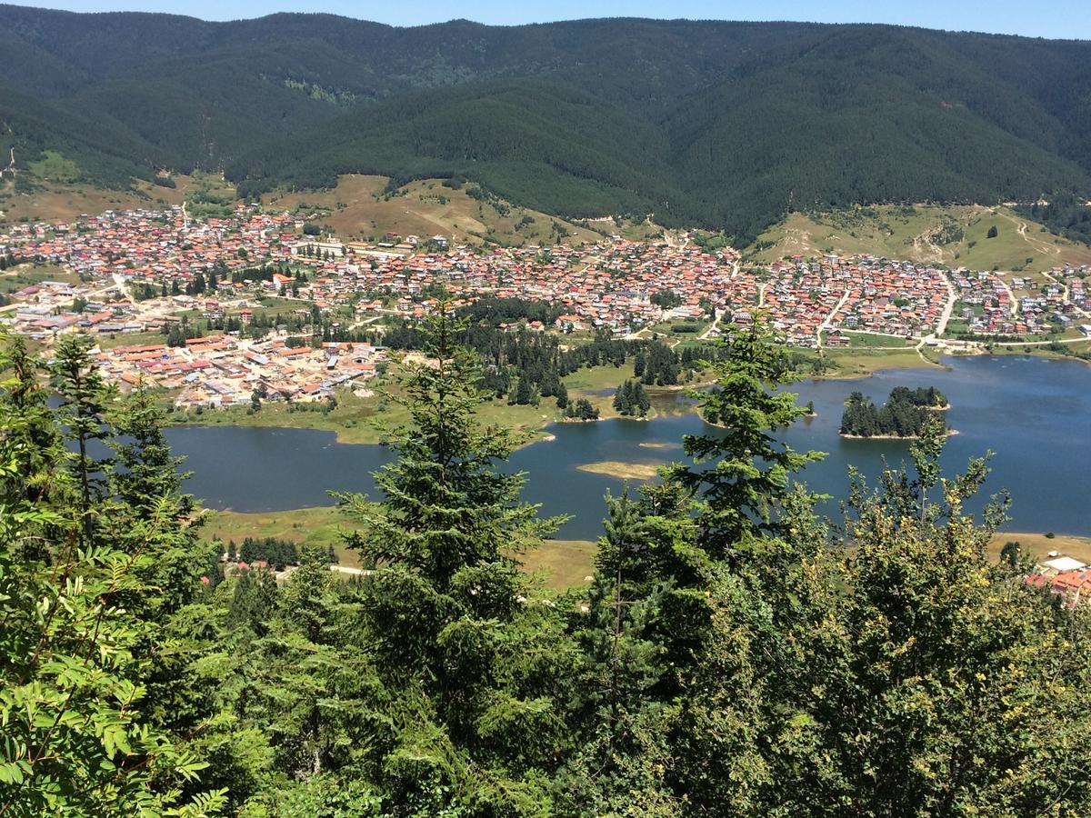 Hotel Alikante Sarnitsa Bagian luar foto